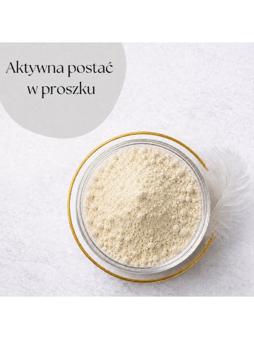 LIPHARMIS Pirofosforan żelaza (III) 25% proszek 100g