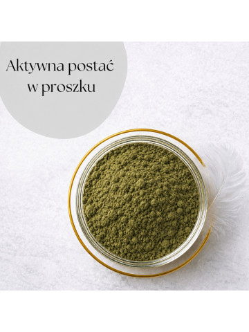 LIPHARMIS Bisglicynian żelaza 20% proszek 1kg