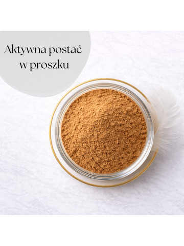 LIPHARMIS Sylimaryna z ostropestu plamistego proszek 100g