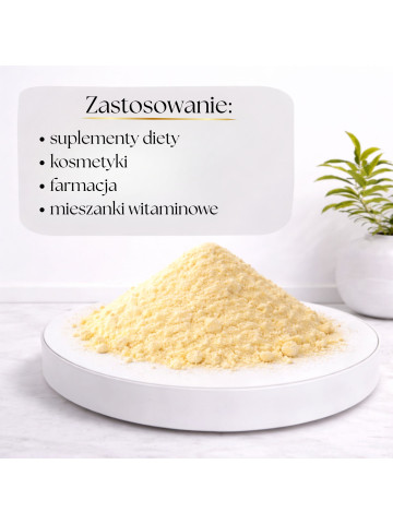 LIPHARMIS Witamina A – octan retinolu proszek 100g