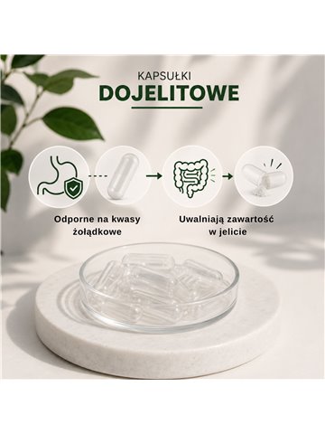 LIPHARMIS Puste kapsułki wegetariańskie dojelitowe rozmiar 0 250szt